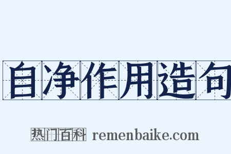 自净作用造句是什么意思的图片